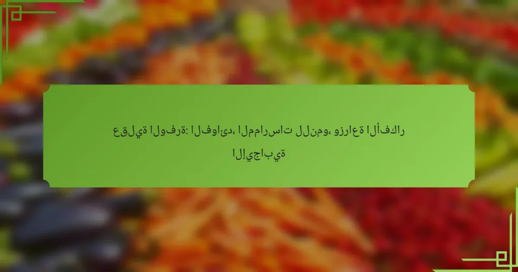 عقلية الوفرة: الفوائد، الممارسات للنمو، وزراعة الأفكار الإيجابية