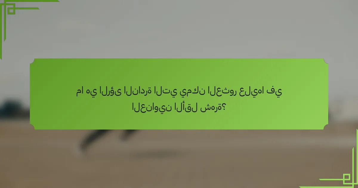 ما هي الرؤى النادرة التي يمكن العثور عليها في العناوين الأقل شهرة؟